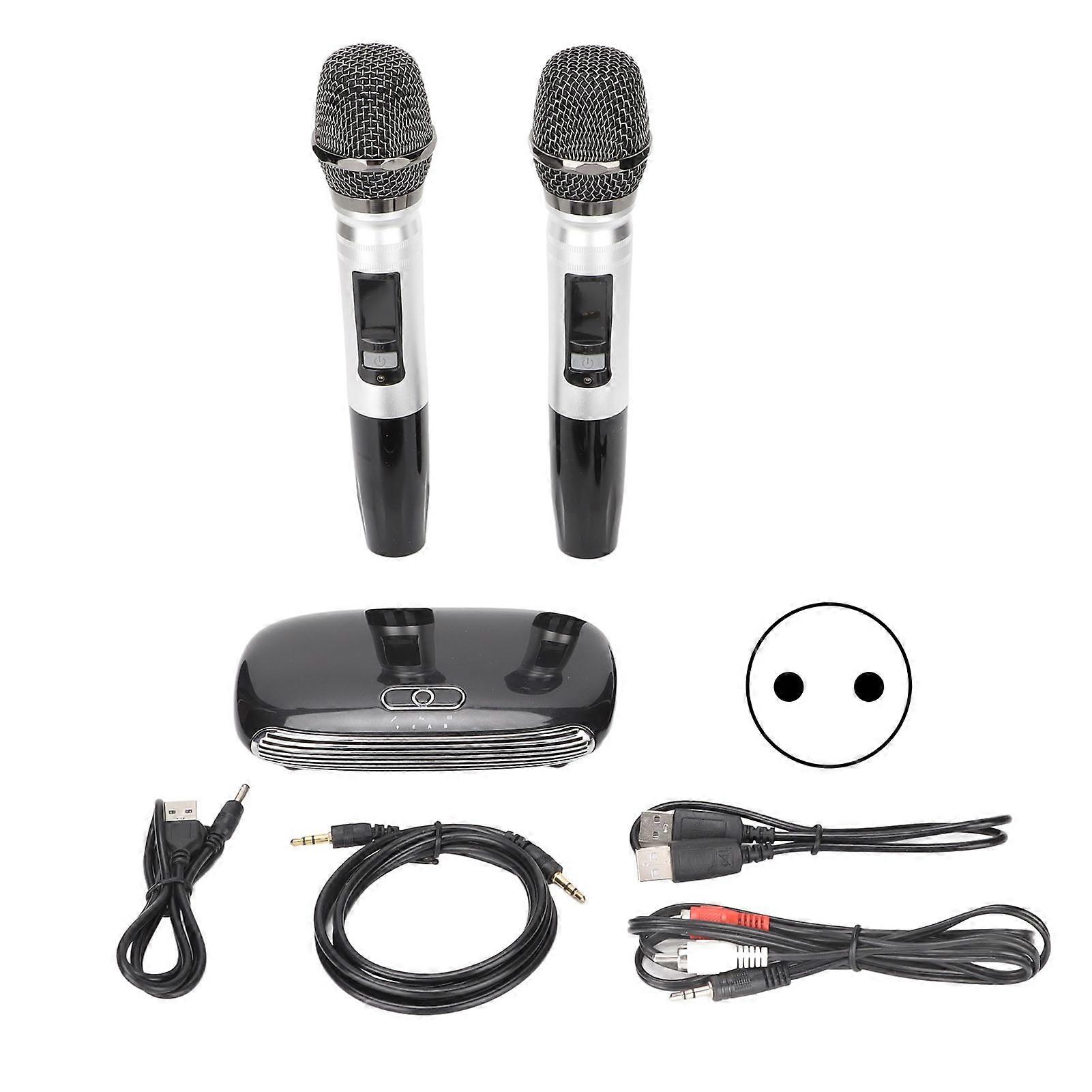 Wireless Karaoke Microphone System for TV, Computer, Smartphone - Clear Sound, EU Plug