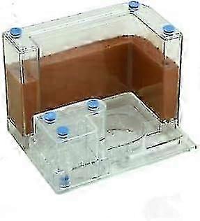 Ant Farm Kit with Fan Soil - Professional 21x11x11cm Transparent Villa