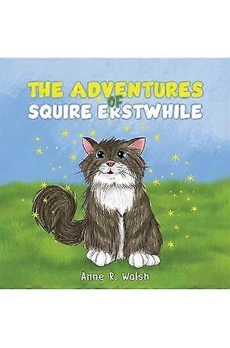 The Adventures Of Squire Erstwhile by Anne R. Walsh Paperback