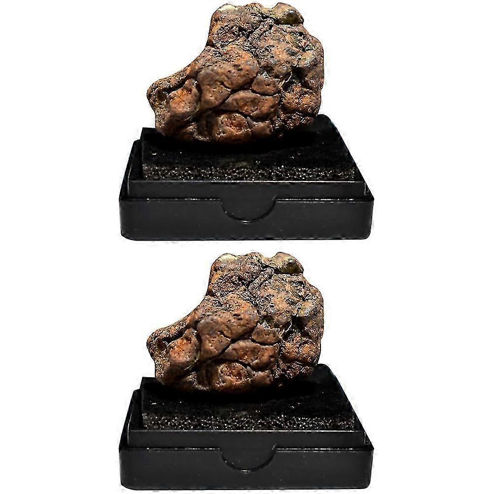 Natural Lithosiderite Meteorite Specimen for Display 4Pcs