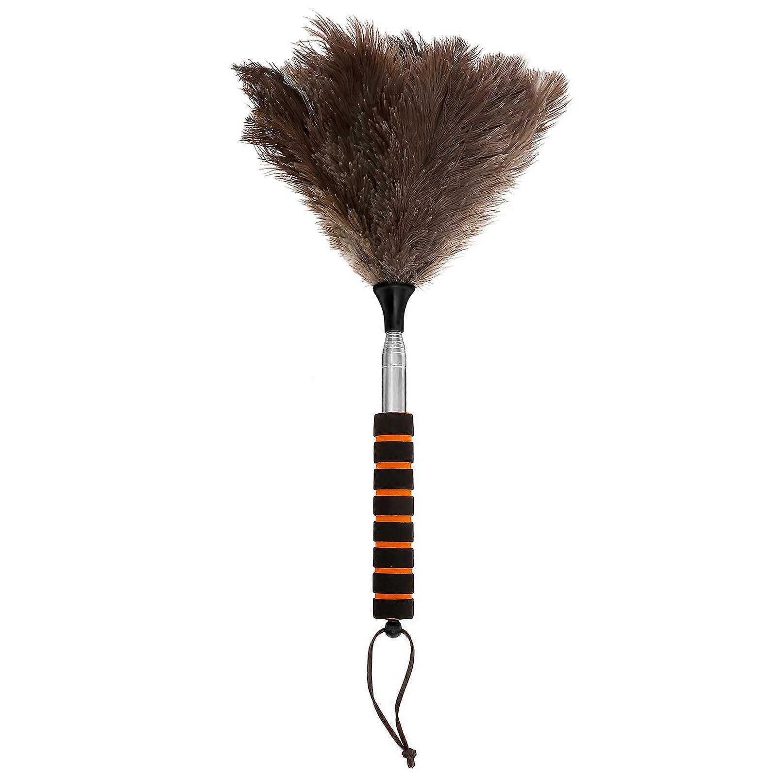 Ostrich Feather Duster with Extendable Telescopic Handle for Gentle Scratch Cleaning