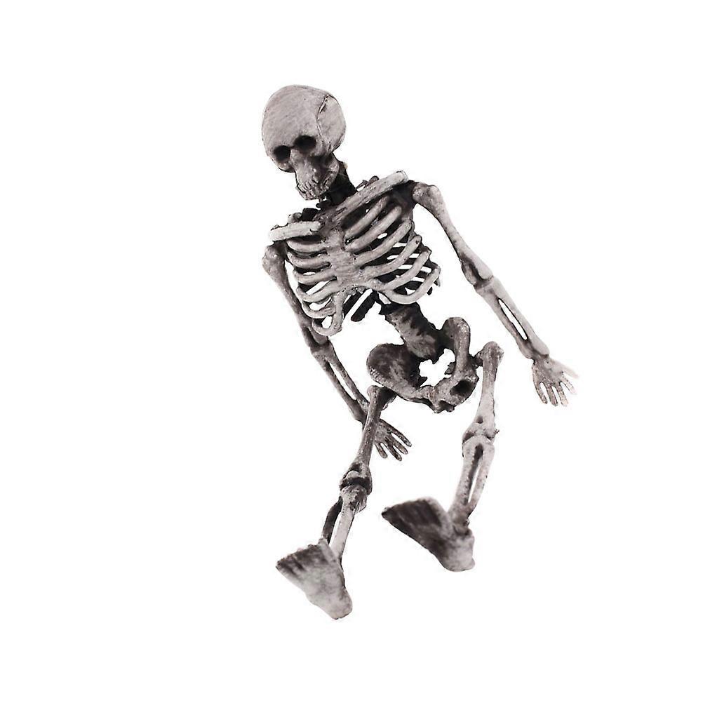 Simulated Skeleton Prop Halloween Skeleton Small Human Body Bone Model