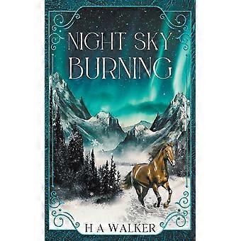 Night sky burning