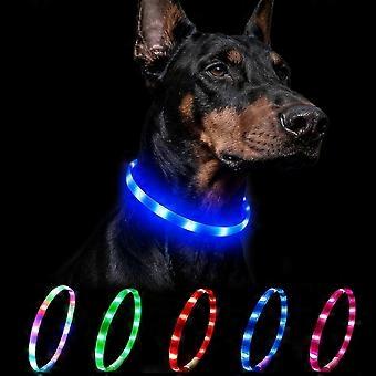 Collier lumineux pour chien - Collier LED clignotant pour la nuit, rechargeable, avec 4 modes d'éclairage, pour chiens de petite, moyenne et grande taille, 70 cm