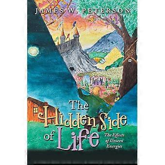 The Hidden Side Of Life The Effects Of Unseen Energies - James W. Peterson - Paperback - en Book