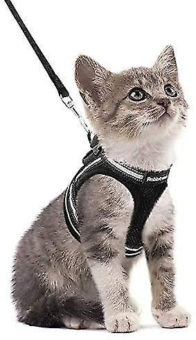 Cat Harness Kitten Harness With Cat Lead, Soft & Adjustable Comfort