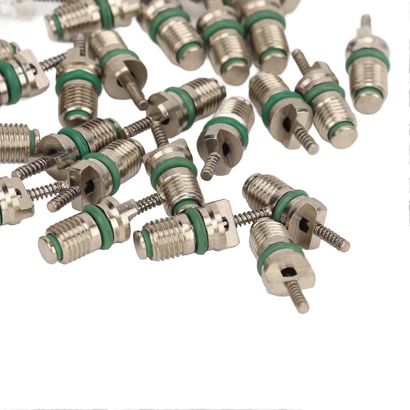 50PCS R134A εξάρτηση πυρήνων βαλβίδων εναλλασσόμενου ρεύματος χάλυβα καρουλιών κλιματιστικών μηχανημάτων αυτοκινήτων ανθεκτική στην πίεση HVAC για το όχημα