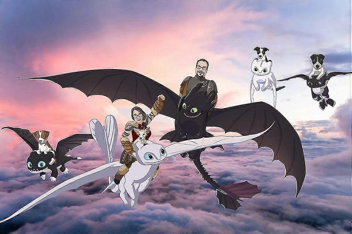 كيفية تدريب التنين الخاص بك ، بلا أسنان ، غضب خفيف ، التنين ، جولة كاملة الحفر 5D دي الماس اللوحة التطريز عبر غرزة