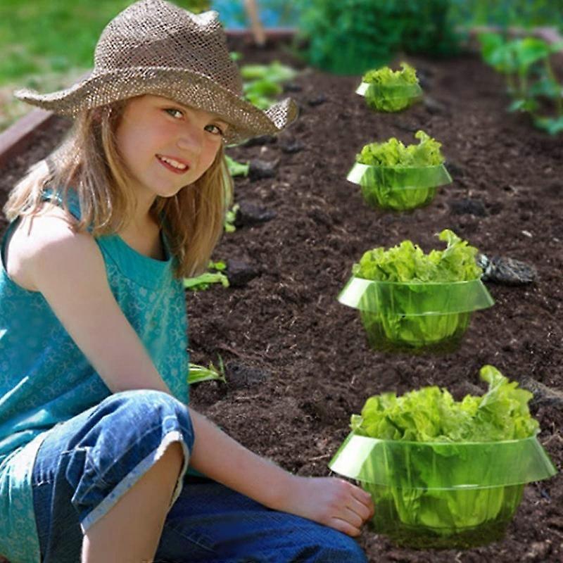 Plastic Slug & Snail Plant Protection Collars, Protects Plants From Animal Eating