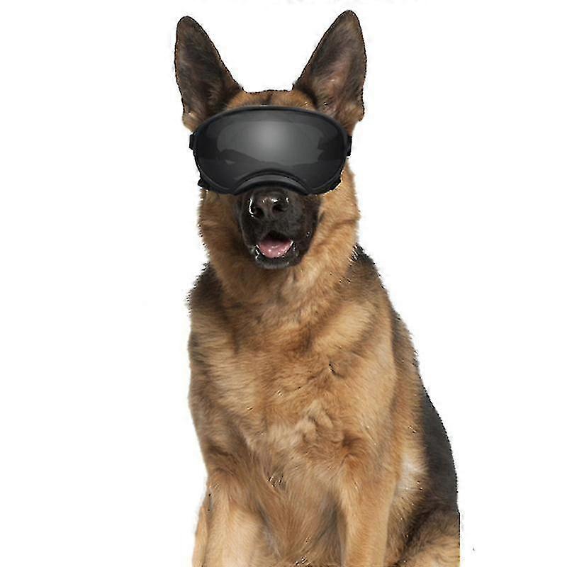 Lunettes de soleil pour chien, protection UV, vent, poussière, buée, lunettes pour animaux de compagnie, sangle réglable