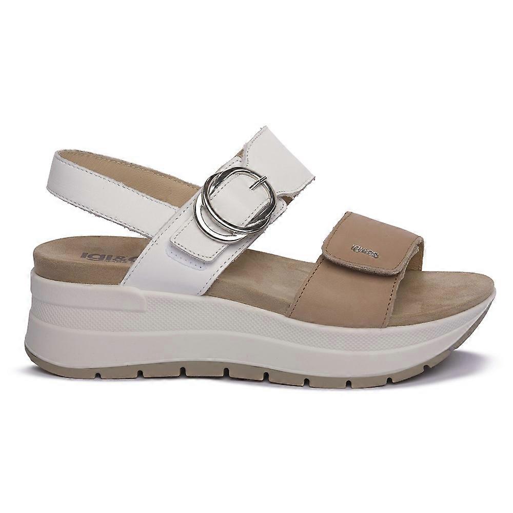 Shoes IGI&CO 7677600