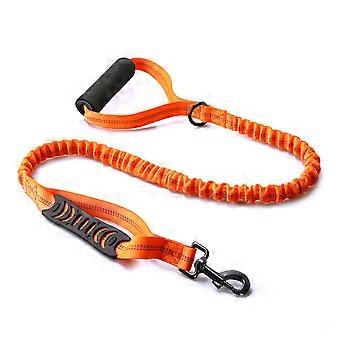 Hands Free Bungee Leash 6.5ft Dog Lead for Running, Hiking & Jogging Loops for Medium and Large Dogs  Purple