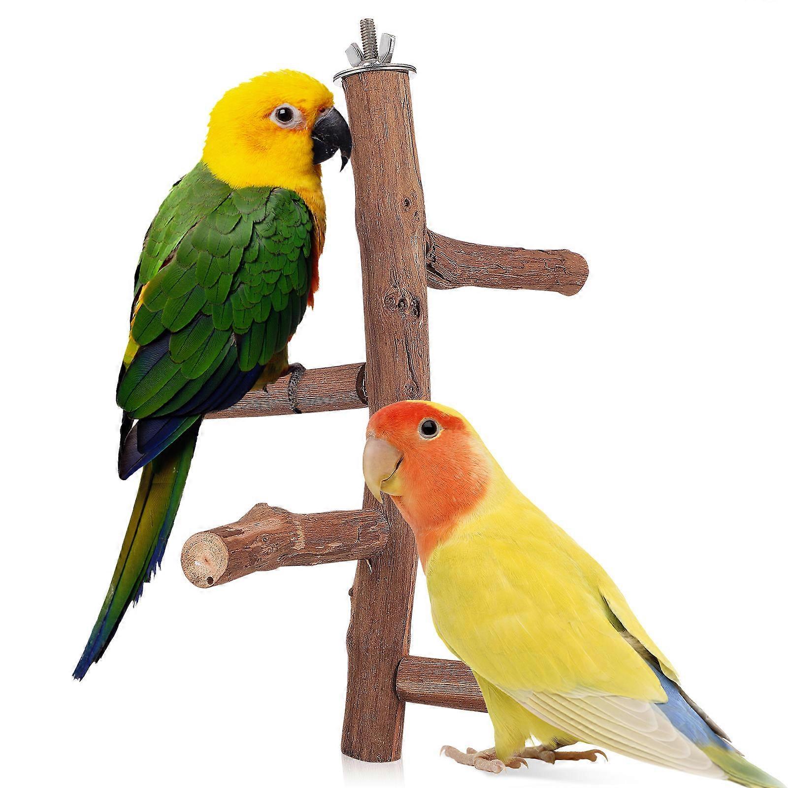 Parrot Foraging Toy Wooden Perch Stand Finches Branch 1Set