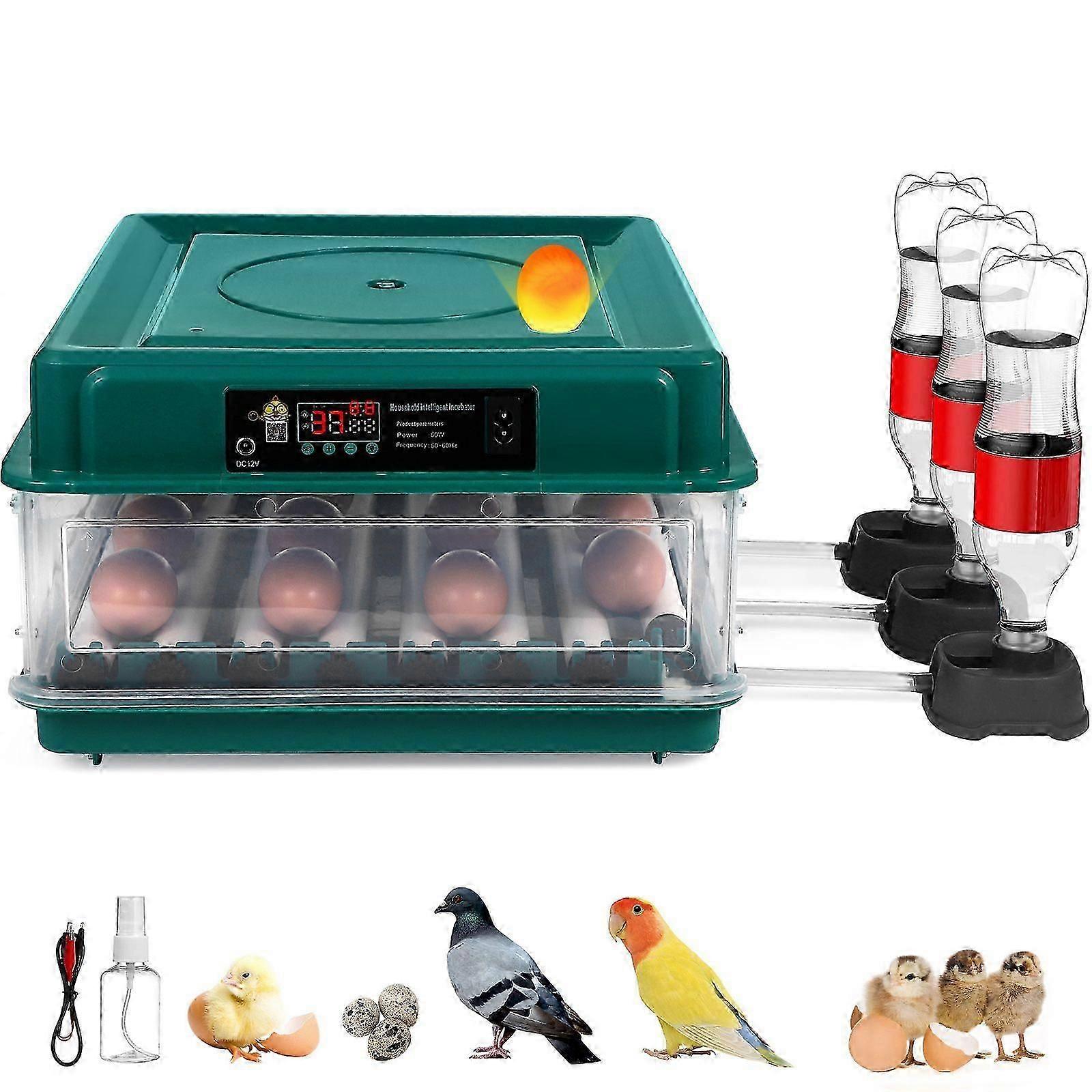 Incubator Incubator Chicken Incubator Fully Automatic Incubator With UK 0619