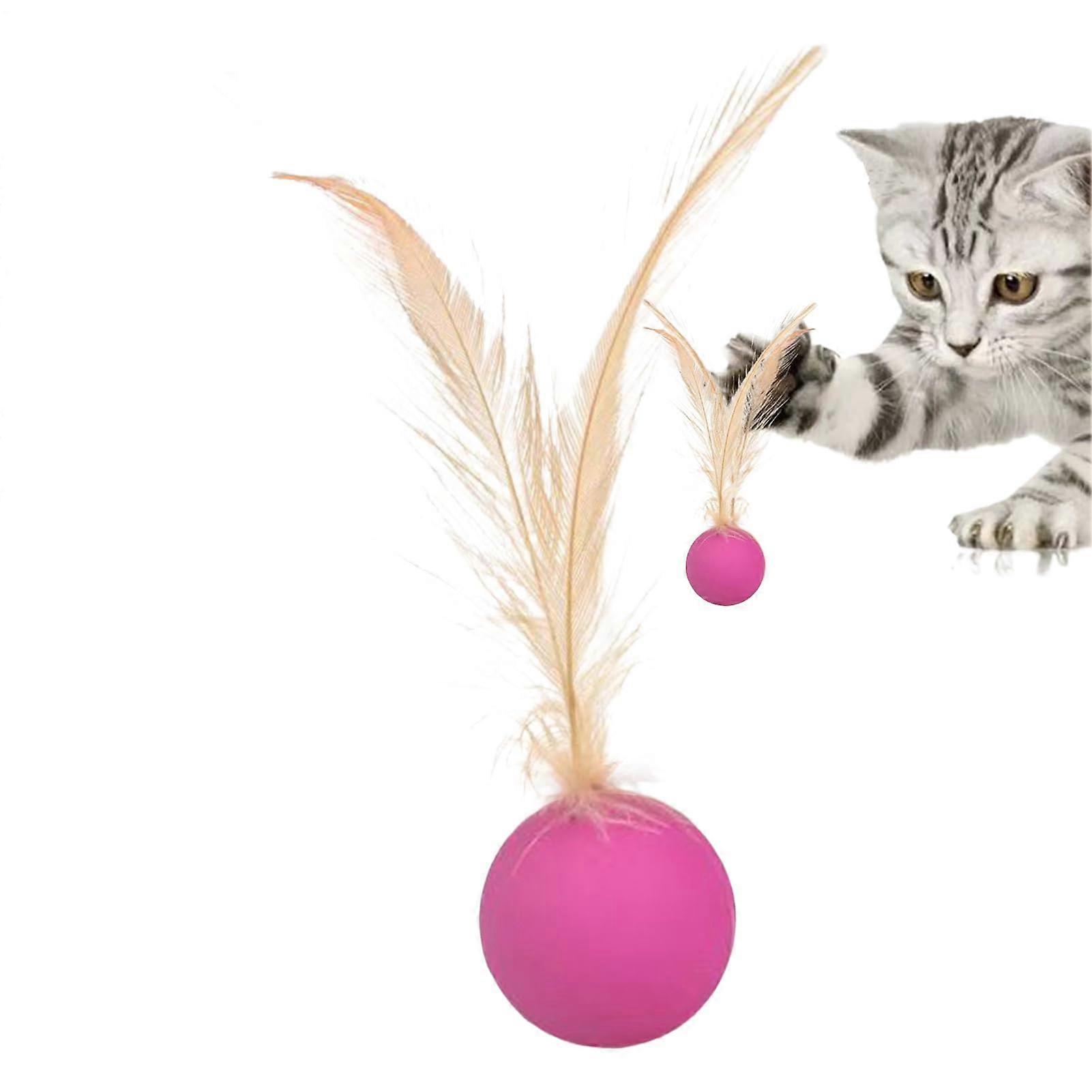 Interactive Cat Toy Ball with Feather, Portable Exercise Ball for Cats, Pink Color, Indoor and Outdoor Play, Self-Understanding Toy