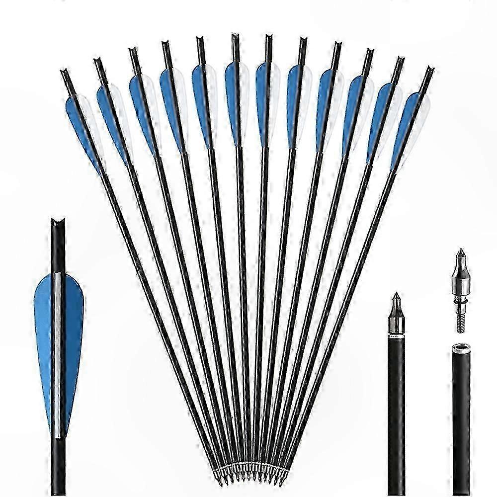 Carbon Hunting Arrows with 4" Vanes, Replaceable Tips, 16-22 Inch, Pack of 12