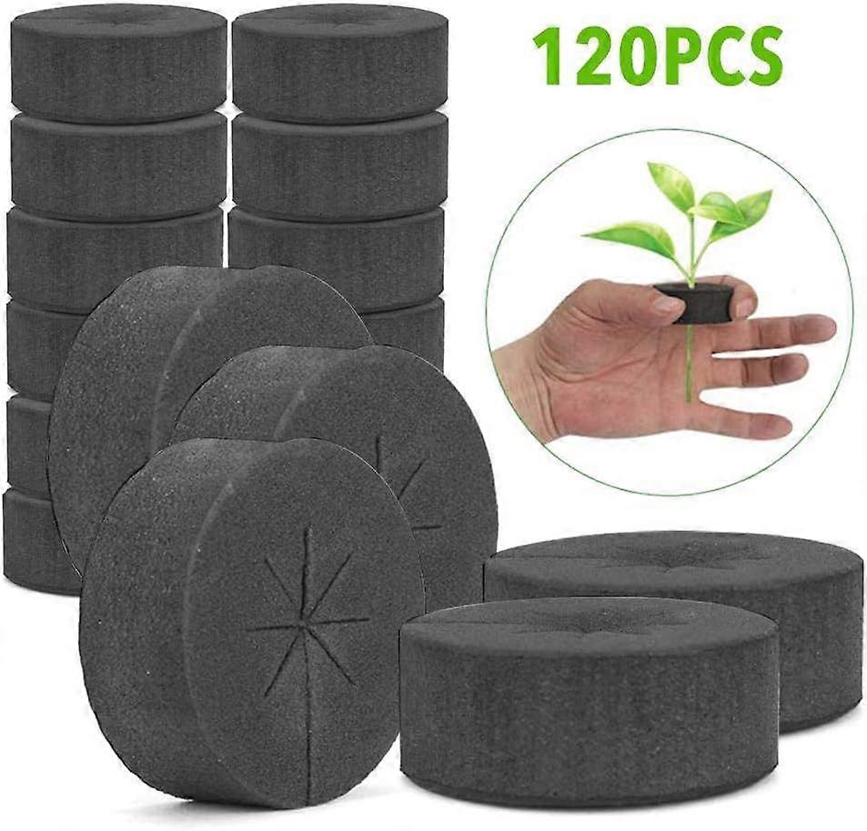 Soilless Hydroponic Sponge, 120pcs Adlala Hydroponic Vegetable Growing System