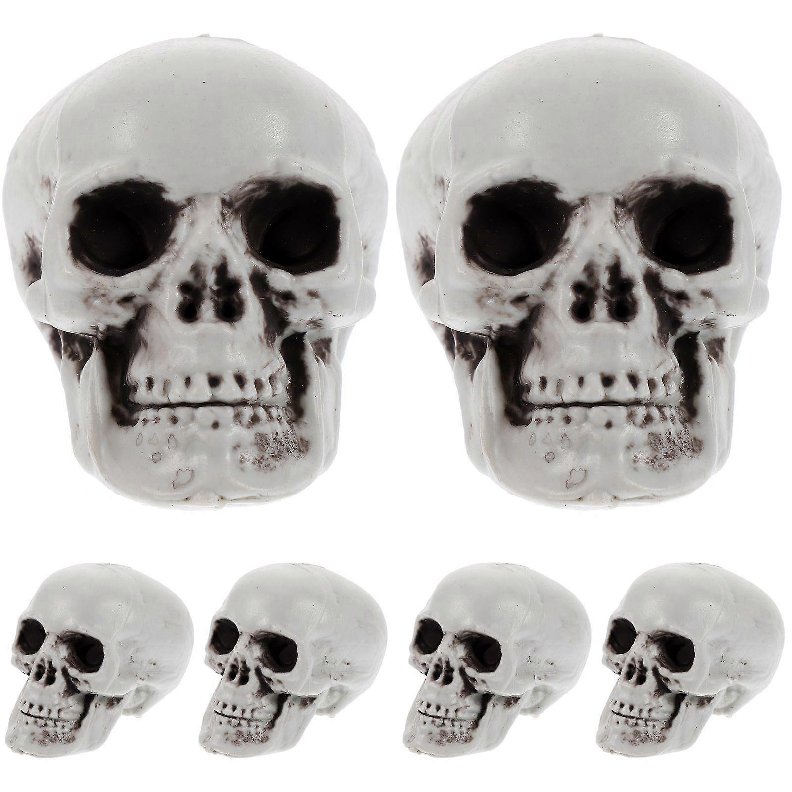 6Pcs Simulation Skeleton Head Models Small Skull Head Sculptures Realistic Skeleton Skulls Decors