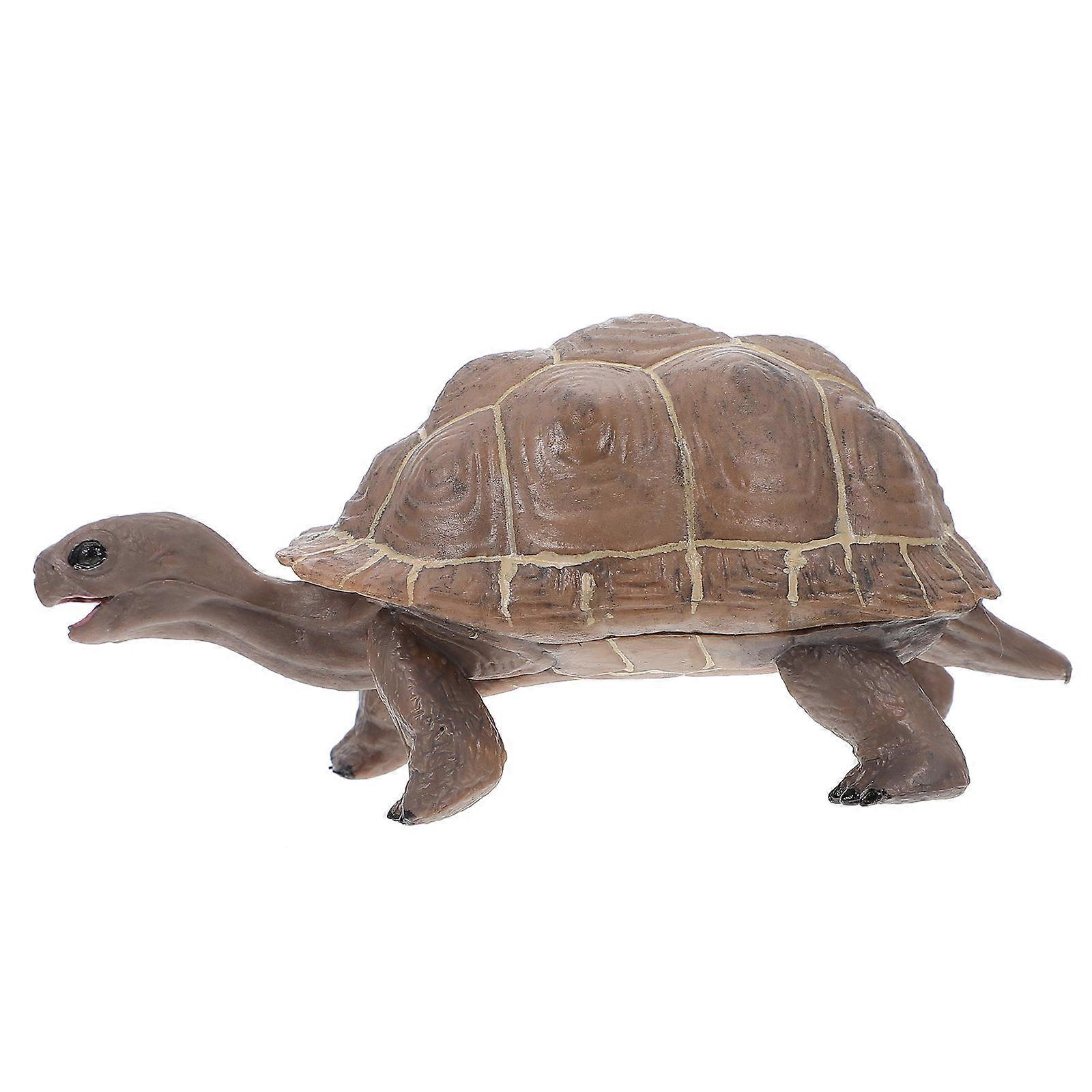 Solid Tortoise Model 2Pcs Science Model For Children Party Use Premium Quality Plastic Material Realistic Details