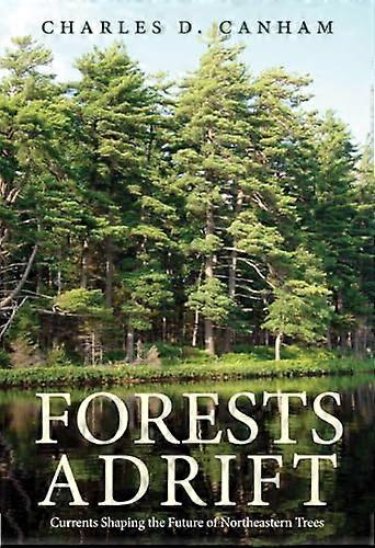 Forests Adrift: Currents Shaping the Future of Northeastern Trees