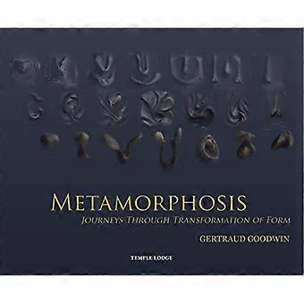 Metamorphosis Journeys Through Transformation of Form