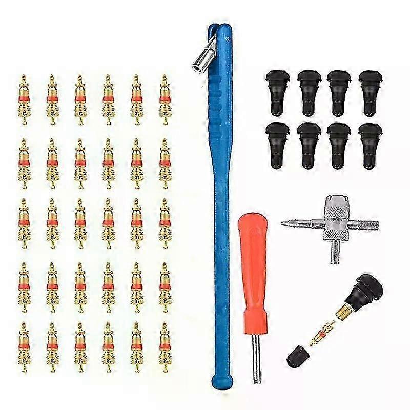 43Pcs Valve Installation Tool Set Kit Tire Valve Stem Tool Puller And Installation Set hwySH