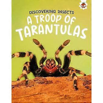Descubriendo insectos: Un grupo de tarántulas - Rebecca Storm
