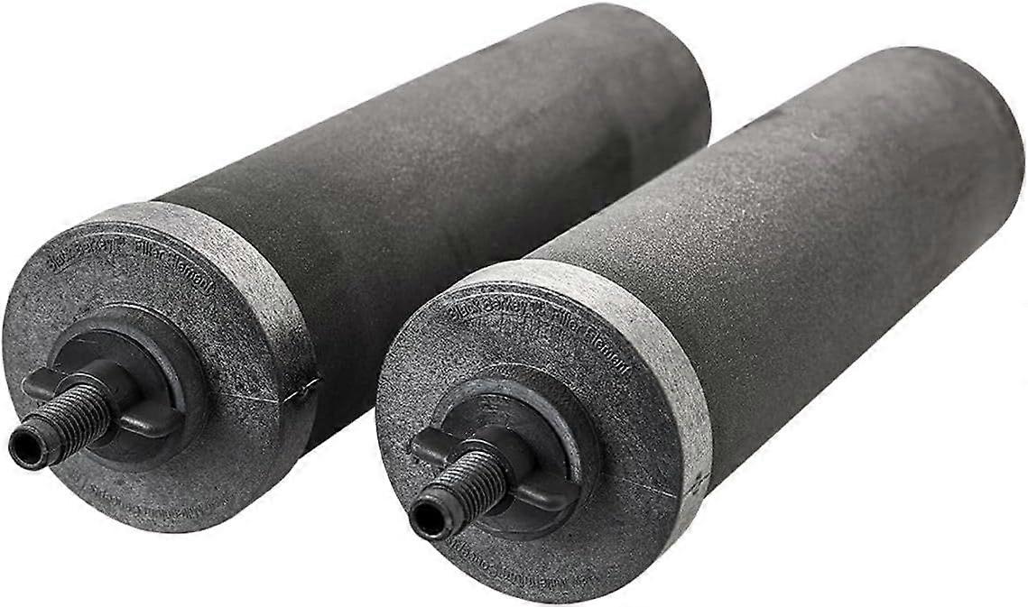 Berkey Authentic Black Berkey Purification Elements - Berkey Water Purifier Replacement Filters (Pack of 2)