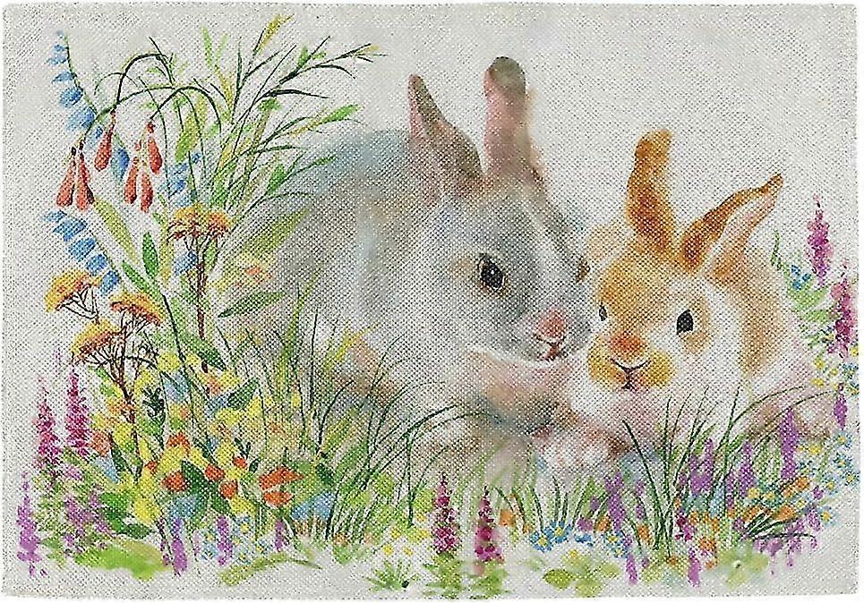 2026 Easter Bunny Flower Placemats, Washable Table Mat Set for Dining Table