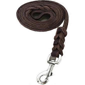 Soft Leather Dog Leash, Genuine Leather Leash with Twist Braided Design compatible with Small to Large Dogs, Outdoor Training, Hiking, Camping, and Wa
