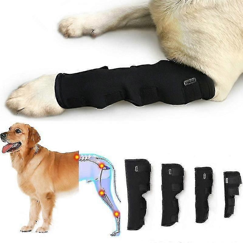 Hock Brace Supportive Rear Compression Wrap Pd60041 Protects Doglemi