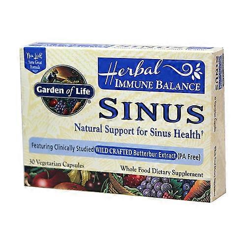 Immune Balance sinus 30 vegetable capsules