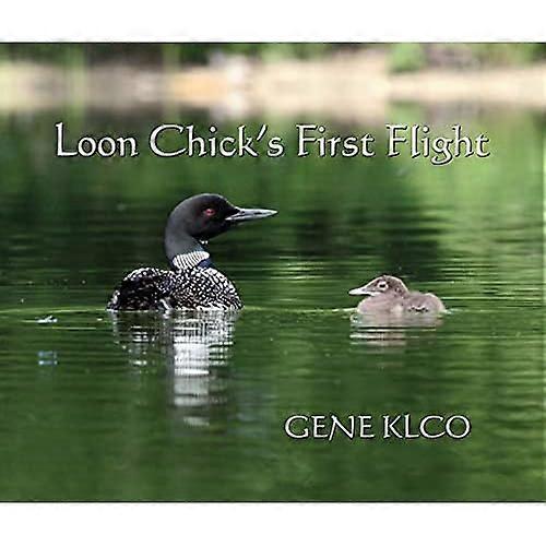 Loon Chick's First Flight