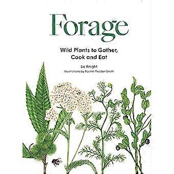 Forage Wild plants to gather and eat