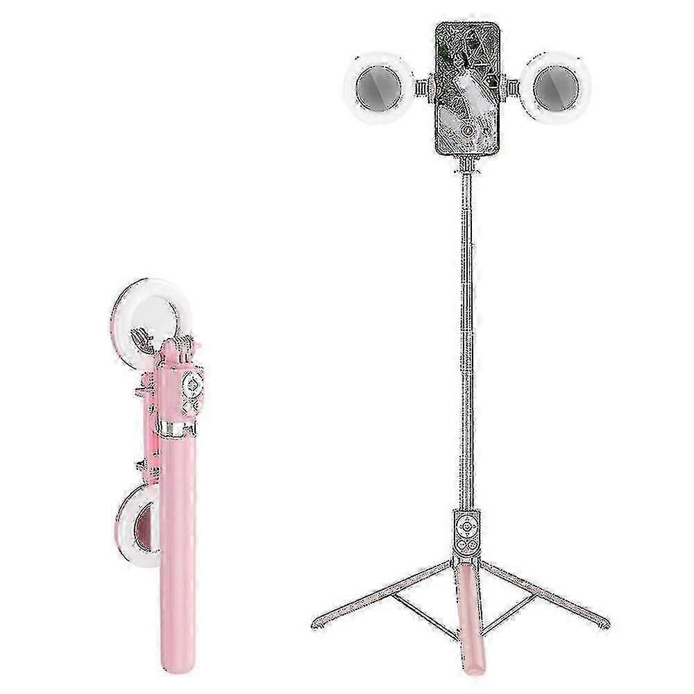 Portable selfie stick for R17ds with fill lights and tripod