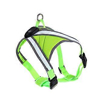 Verstellbares Hundegeschirr mit LED-Licht für Training und Spaziergänge, Ausbruchsicherung für große, mittlere und kleine Hunde