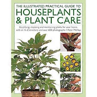 The Illustrated Practical Guide to Houseplants & Plant Care Identifying choosing and maintaining plants for your home with an A Z directory and ove