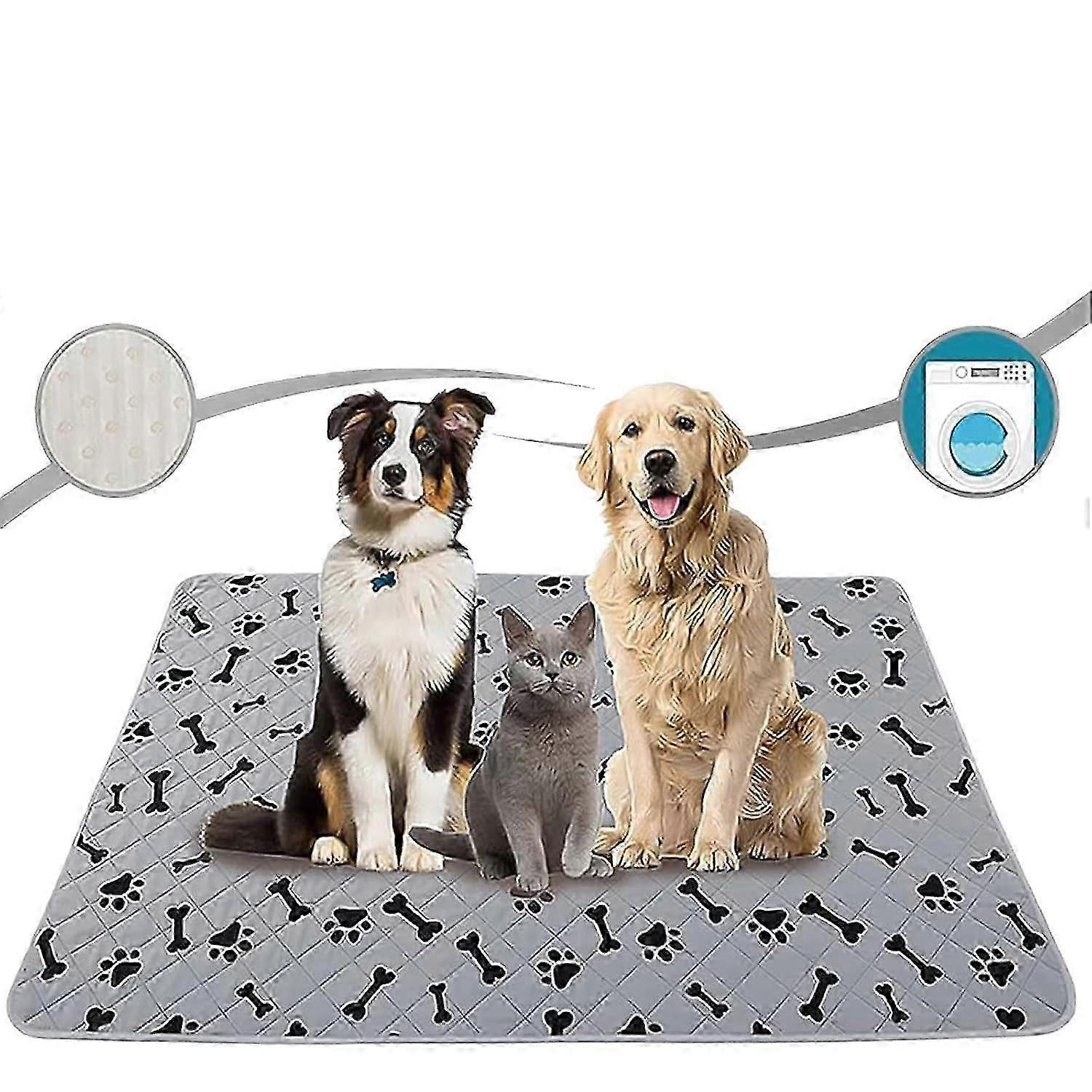 Ultra-Absorbent Reusable Training Pad