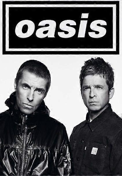 Oasis Jigsaw Puzzle Brain Teaser SD497