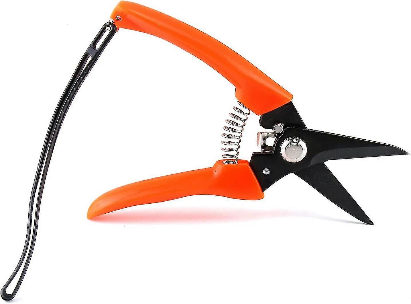 باتشو القدم تعفن المقصات ، الربيع تحميل حافر الماعز التشذيب للأغنام ، الألبكة ، الضأن ، خنزير حوافر شجيرة المتقلب (1PC)