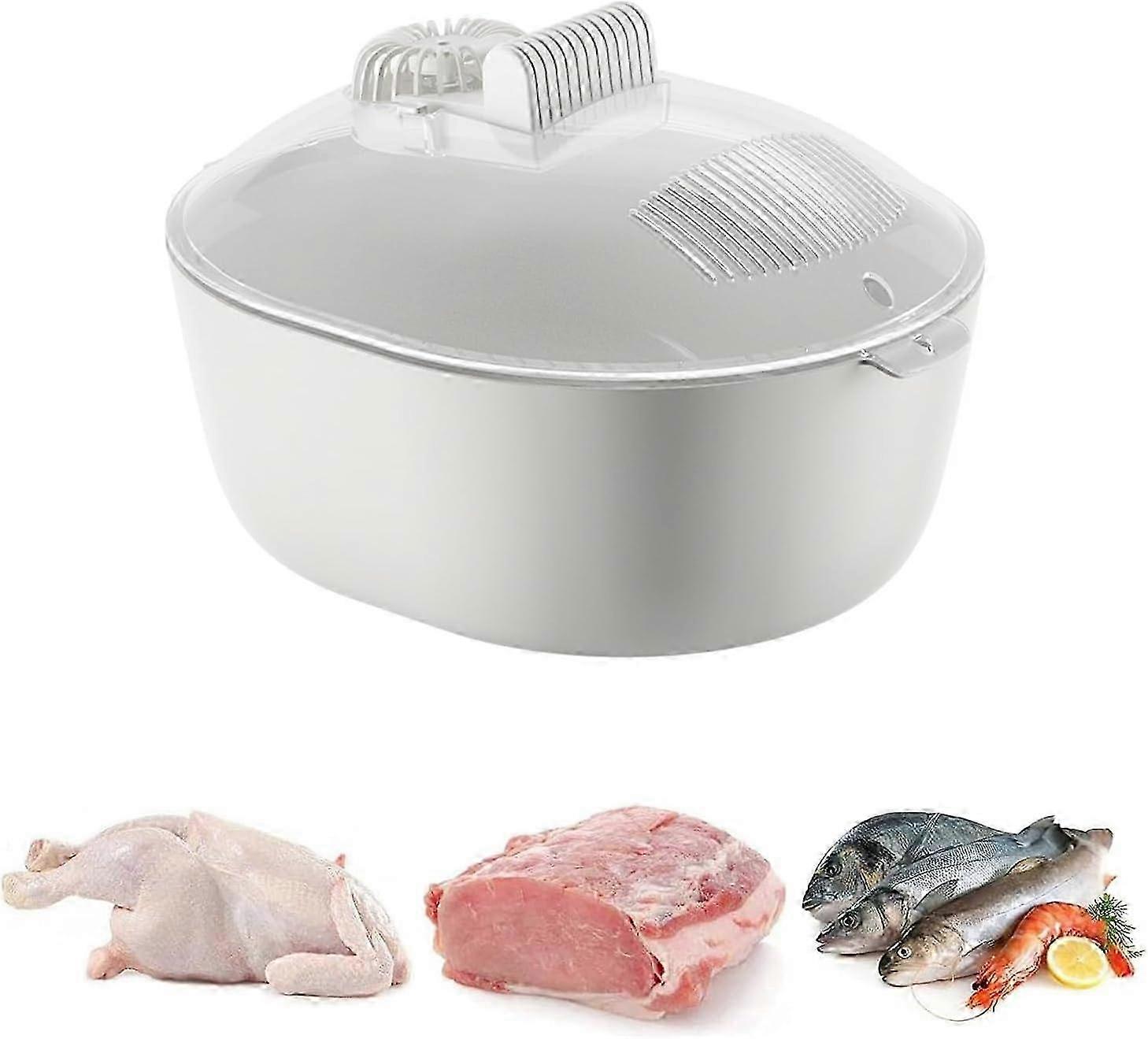 Sbrinatore per la conservazione degli alimenti, Sbrinatore per alimenti 4 in 1 da cucina domestica, Macchina per la conservazione e lo scongelamento degli alimenti, Scongelatore rapido, Conservatore ermetico per alimenti