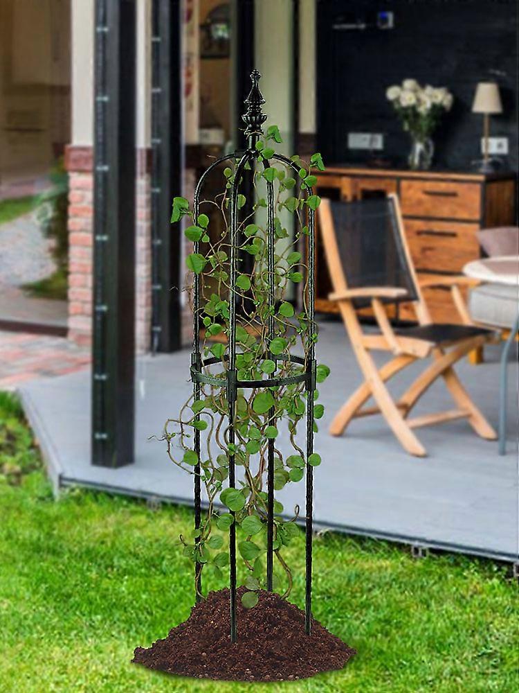Best Garden Obelisks for Climbing Plants in Your Outdoor Space