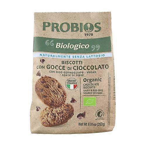 Vegan chocolate chip cookies with sprouted rice 250 g