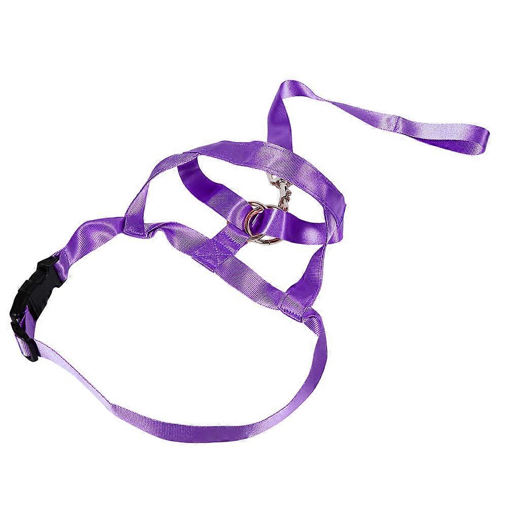 Nylon Anti-bite Anti-eating Leader Pull Straps for Dog Training