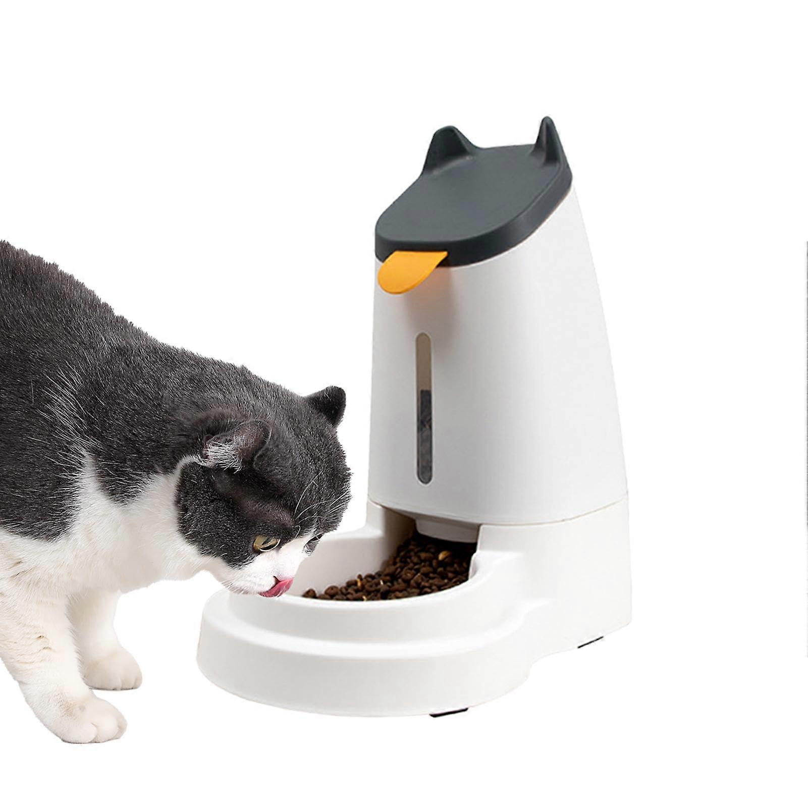 Automatic water dispenser for pets, cat food dispenser, gravity feeder for cats