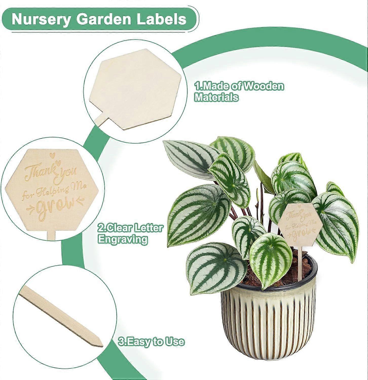 15 Pcs Vegetable Fruit herb Plant Labels, Aesthetic Patterned Acrylic Plant