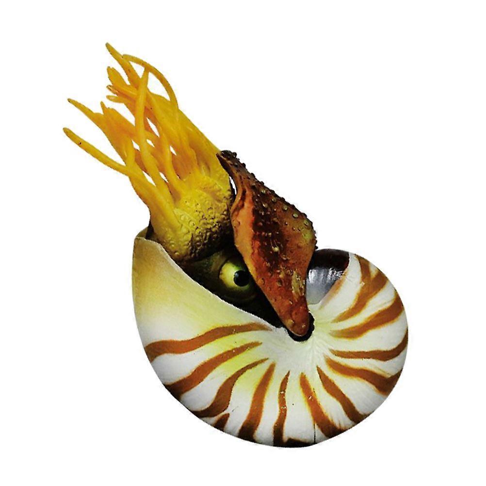 Fish Tank Shells Simulation Nautilus Decoration for Aquarium 3Pcs Set