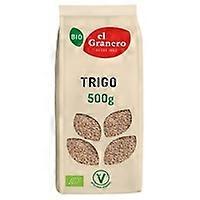 Wheat grain 500 g