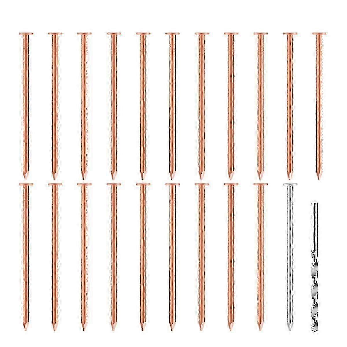 20 Pcs Pregos de Cobre para Matar Árvores, Tocos & - 3,5 Polegadas de Comprimento Vêm com 1 Pregos de Aço e 1 Broca