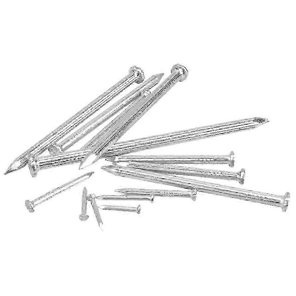 Durable 16mm Round Head Wall Nail